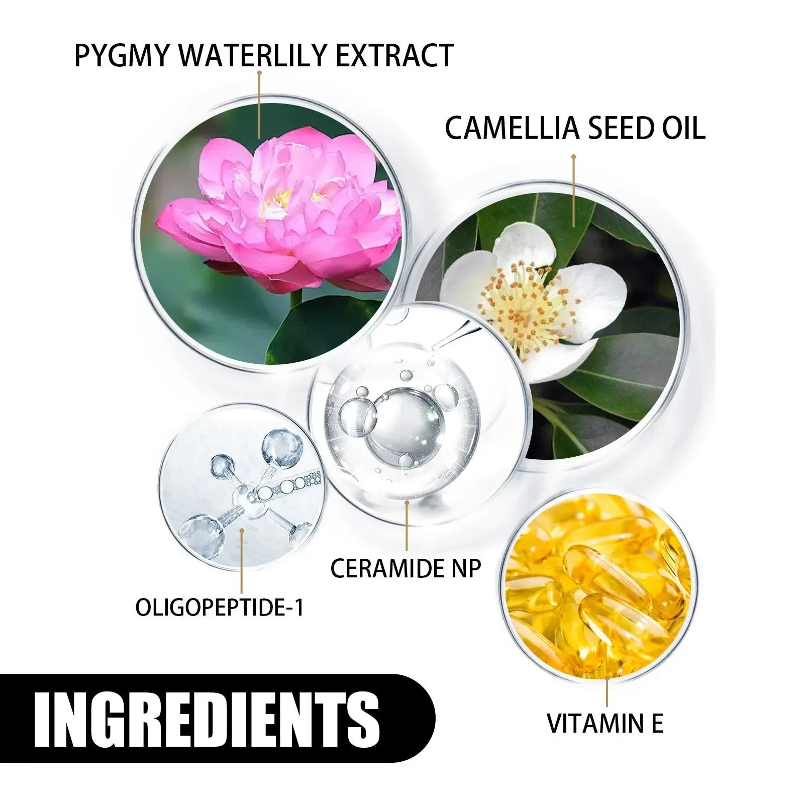 Eelhoe Face Skin Care Set Protini Beauty Cream